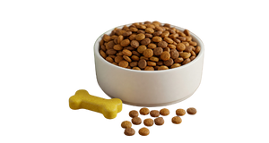 Adsız tasarım (27)